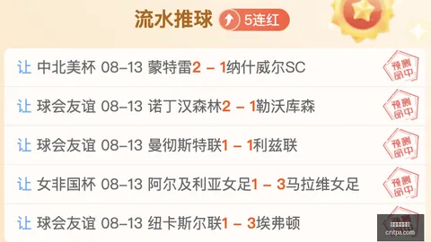 美加墨世界杯 115300 20
